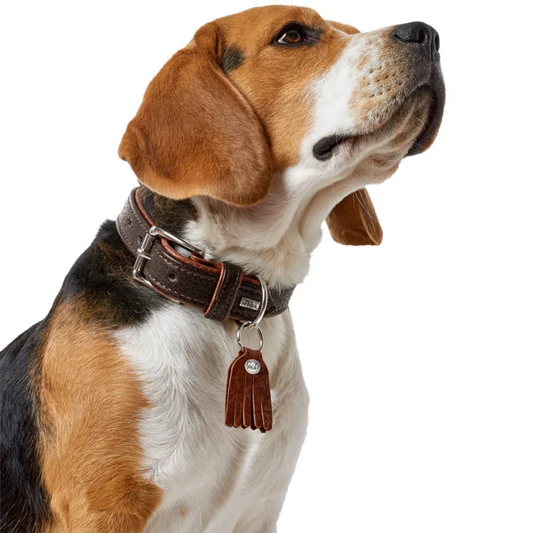 Hunter Cody 40 Mørkebrun Cognac hundehalsbånd - 29-35 cm